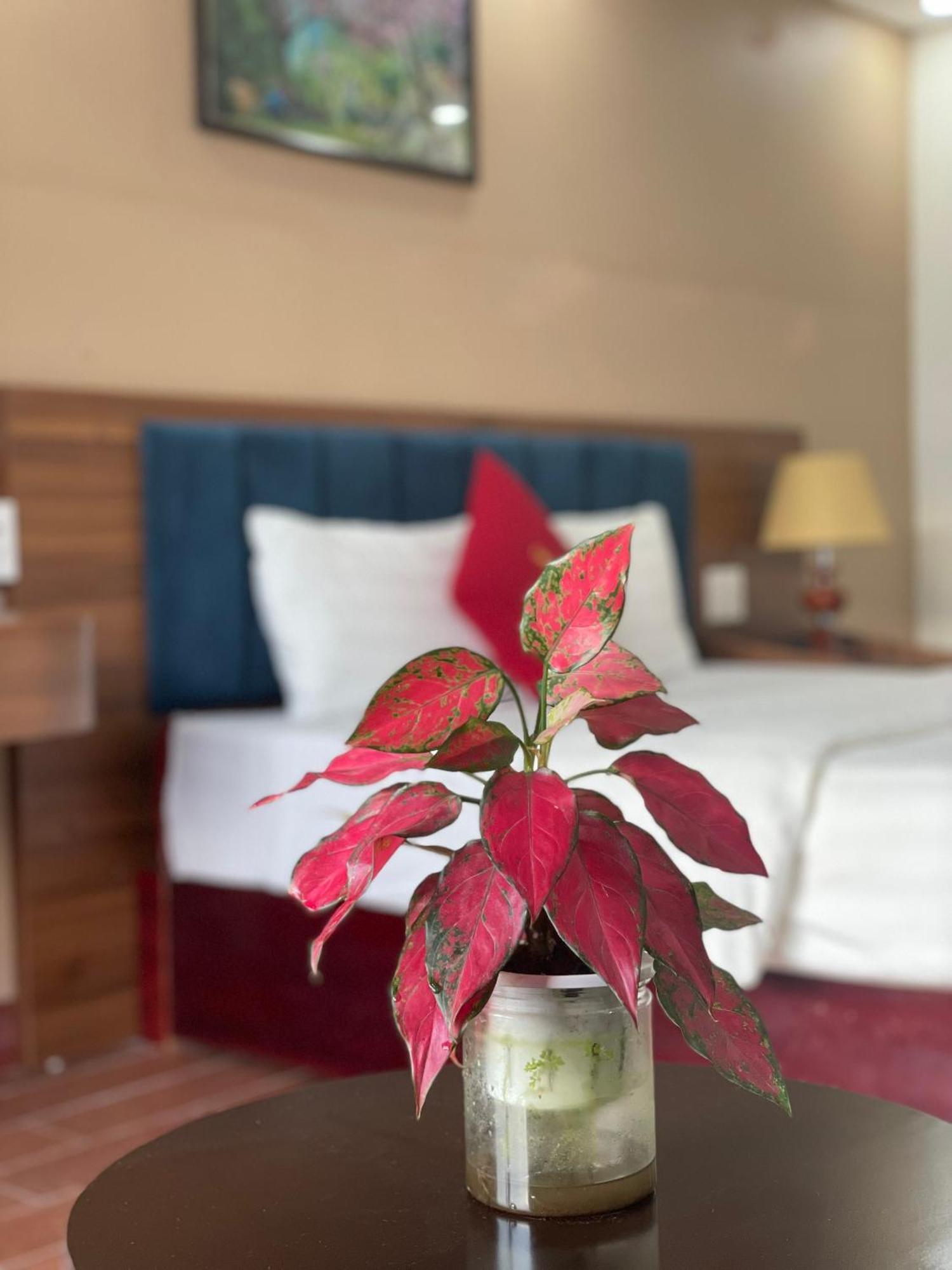 Liberty Sapa Hotel Bagian luar foto